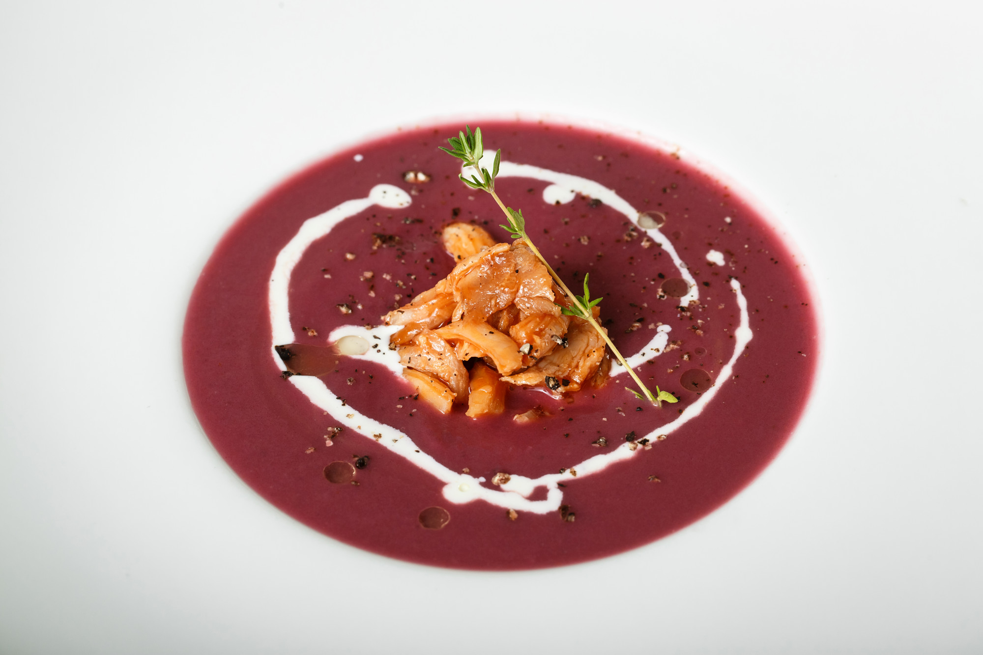 plated modern polish dish with sauce drizzle